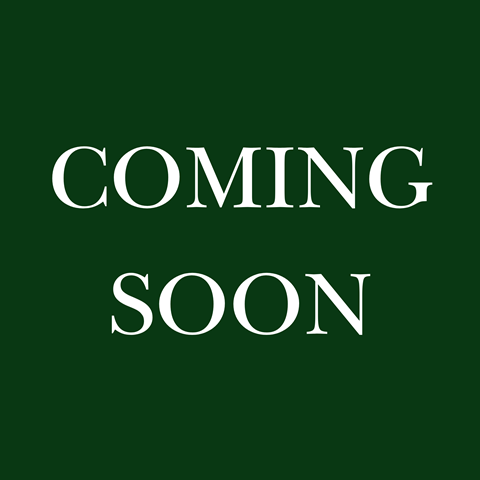 Coming soon FP at SOSA at Palo Alto Apartments, San Antonio, TX, 78224